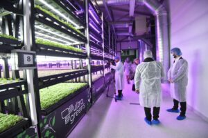 Green Hub Kaufland by Ultragreens (1)