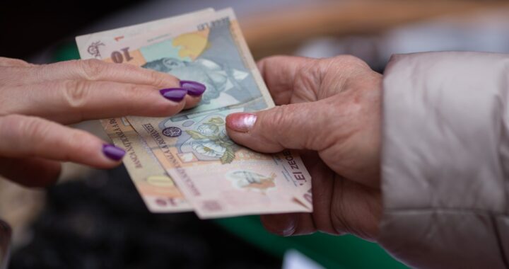 bani, lei, finante, bancnote