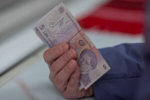bani, lei, finante, bancnote