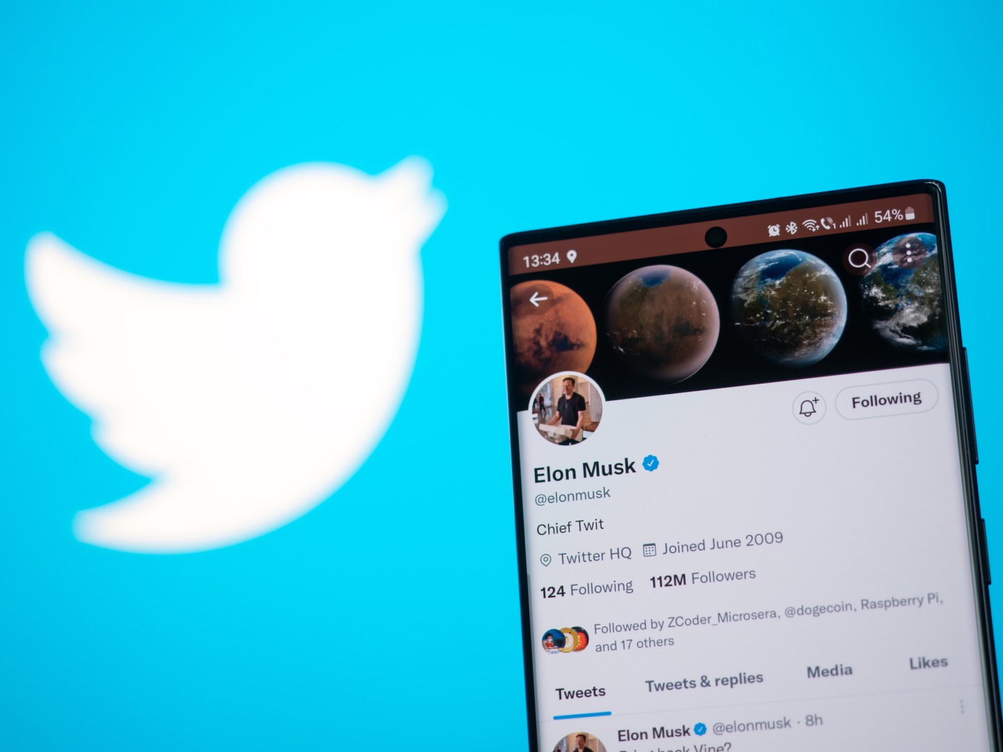 twitter elon musk bifa albastra verified