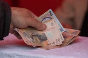 bani, lei, finante, bancnote