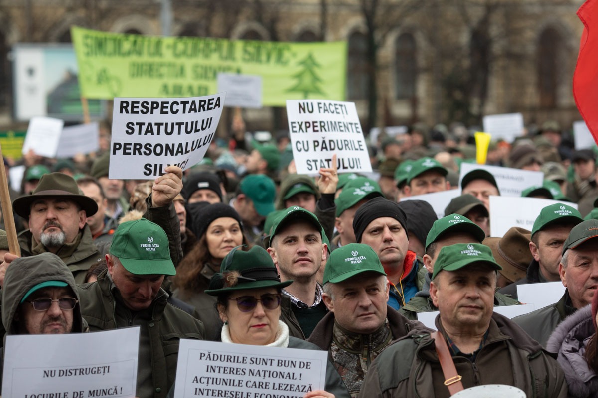 protest, Silva, silvicultori, padurari