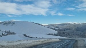 Transalpina
