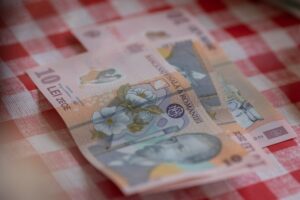 bani, lei, finante, bancnote