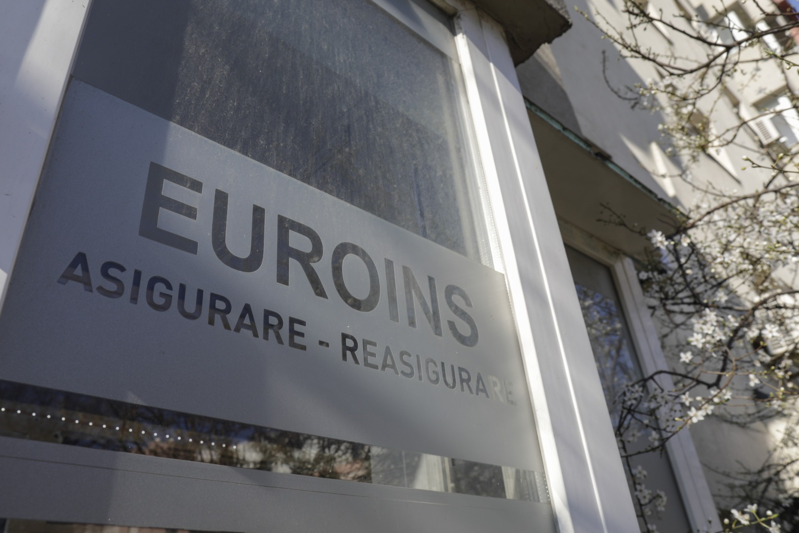 Euroins