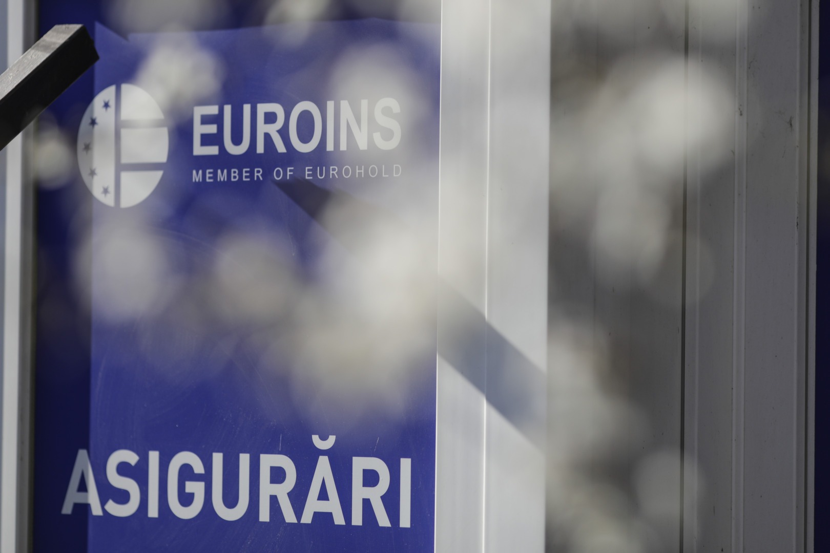 Euroins