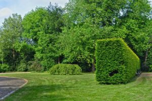 parc urban spații verzi