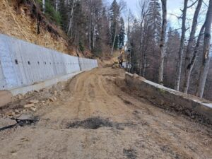 DN 2 L Soveja Lepșa