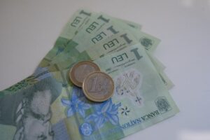 bani, lei, finante, bancnote, euro
