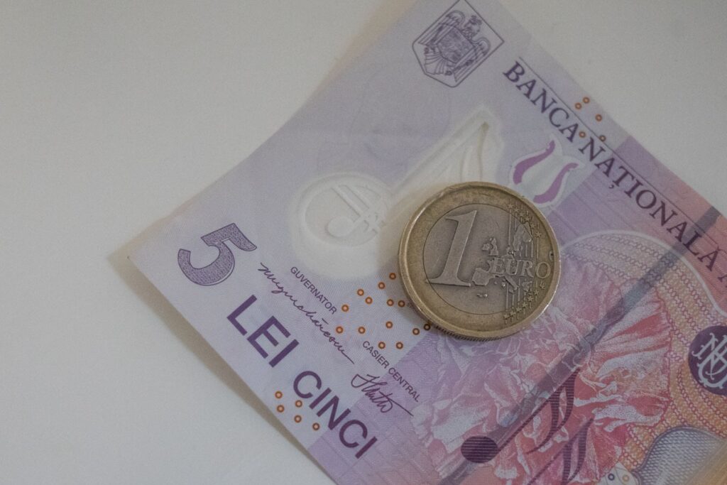 bani, lei, finante, bancnote, euro, 5 lei