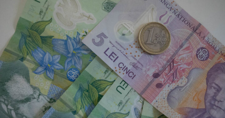 bani, lei, finante, bancnote, euro, 5 lei
