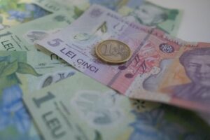 bani, lei, finante, bancnote, euro, 5 lei