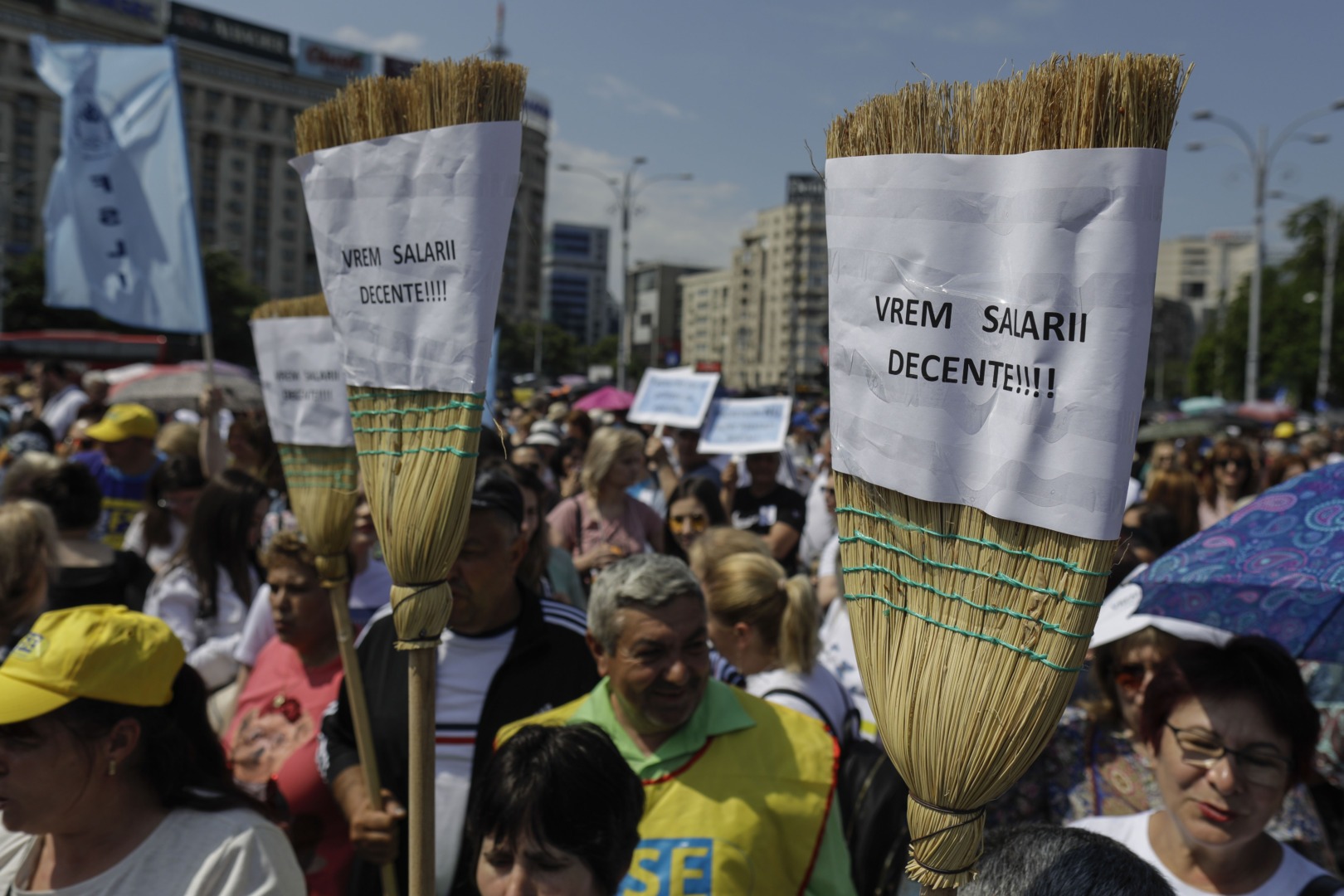 protest, greva, profesori, educatie