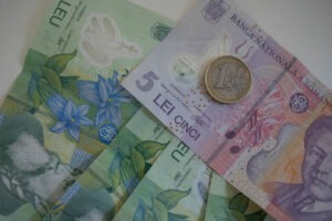 euro leu bani lei