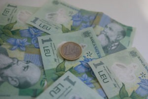 euro leu bani lei