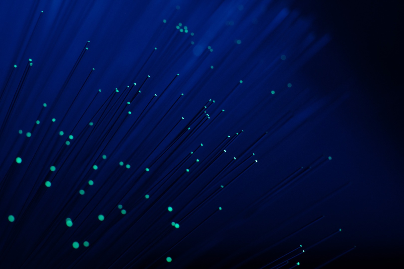 fibra optica
