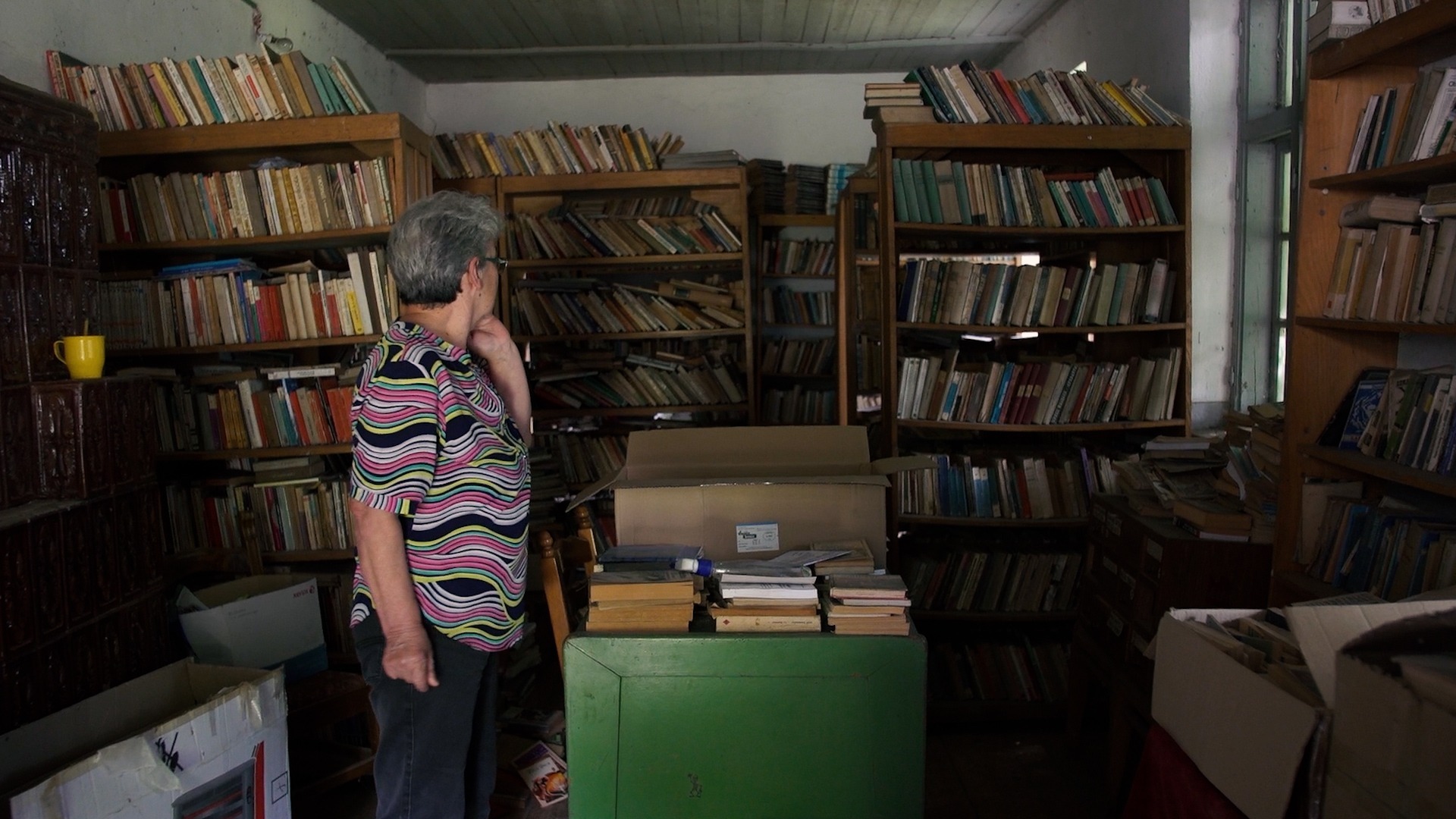 biblioteca, carti, digitalizare