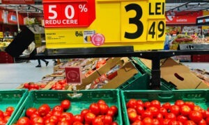 plafonare adaos comercial alimente