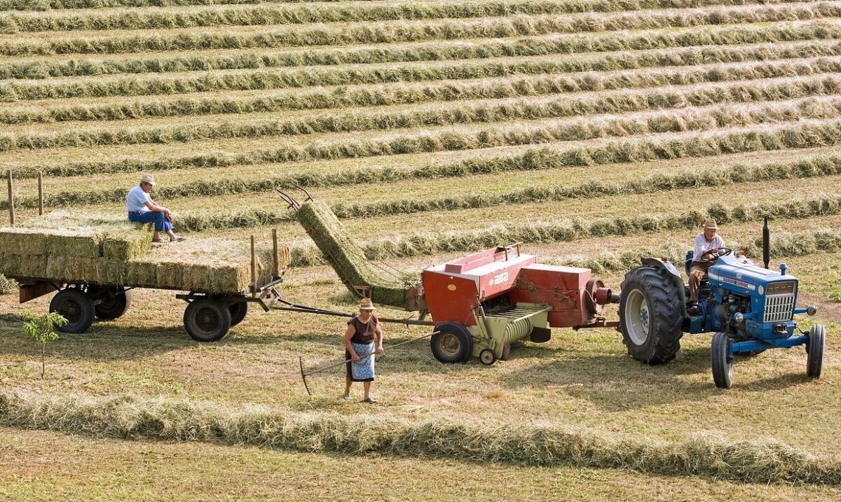 agricultura, ferma fermier