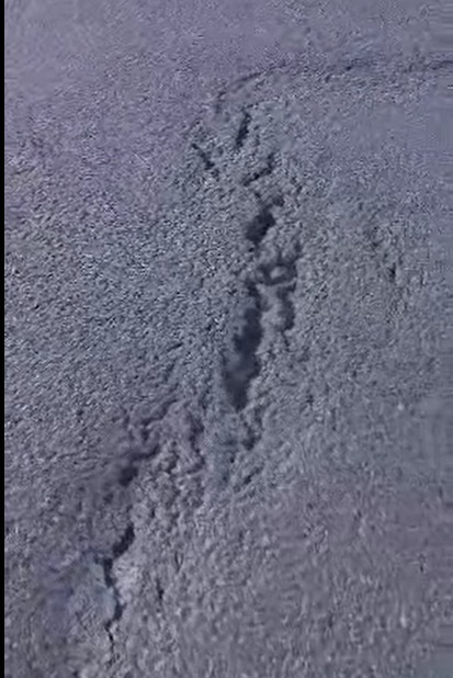 Fisuri Pod Brăila