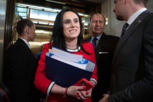 Simona Bucura Oprescu, ministrul Muncii