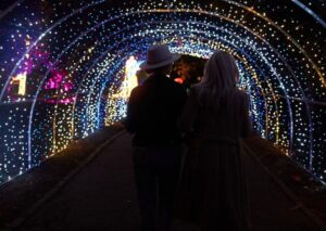 garden of lights, grădina luminilor