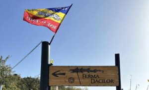 Ferma Dacilor