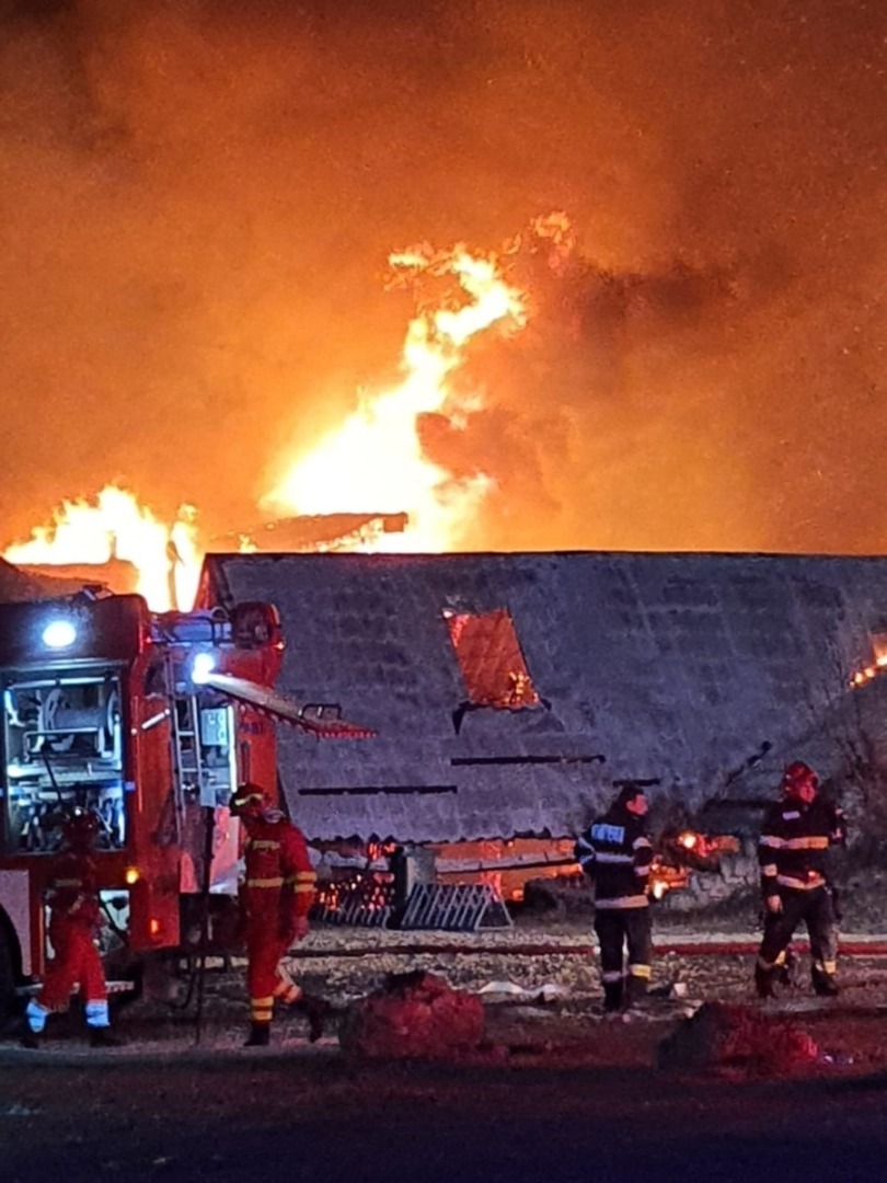 incendiu ferma dacilor