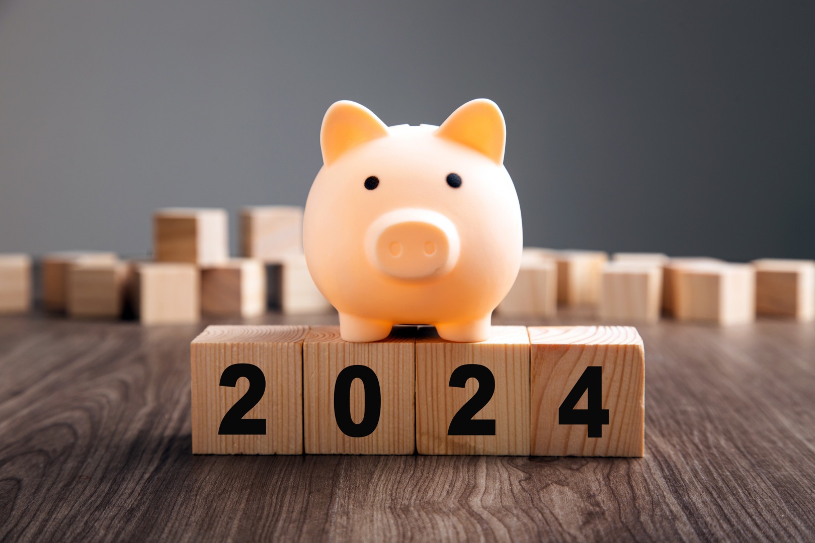 Buget 2024