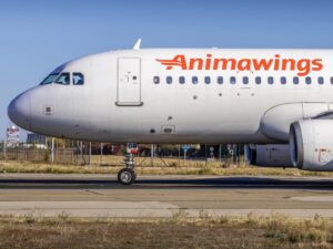 Animawings