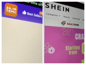 Shein Temu