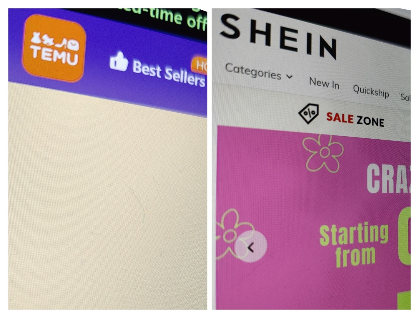 Shein Temu