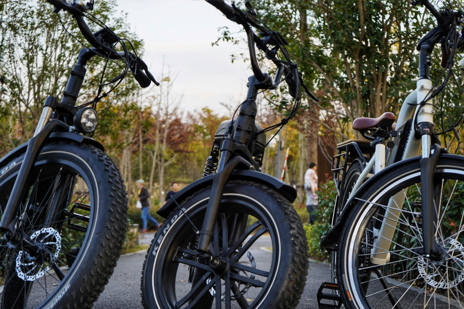 biciclete electrice