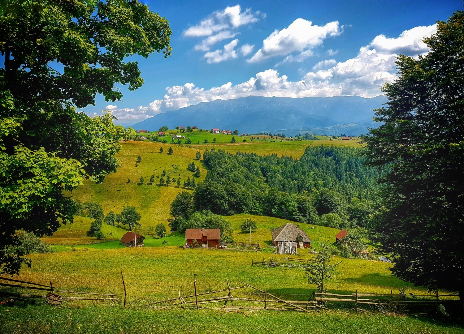 Șirnea