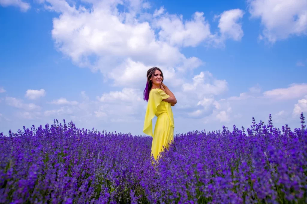 Flori Vioreanu lavanda