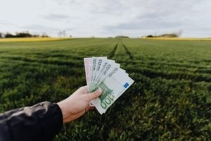 bani euro
