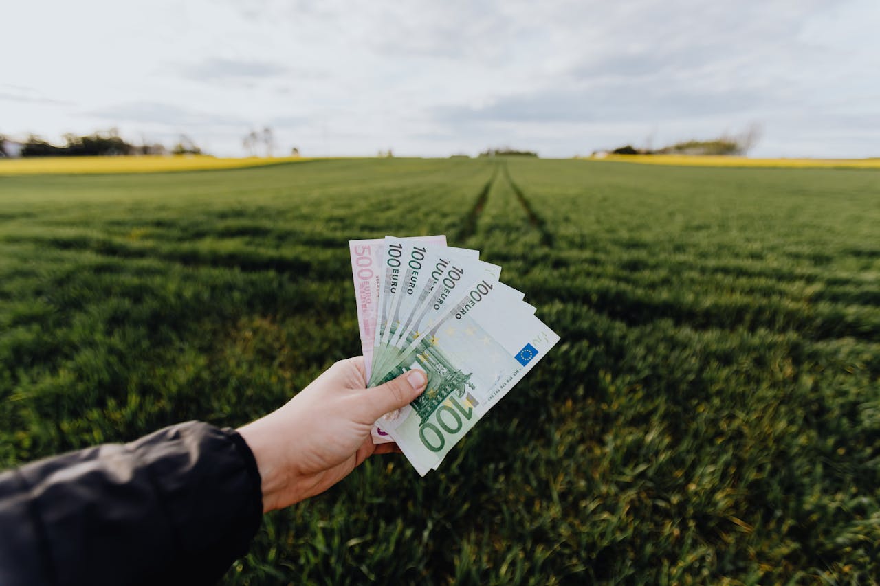 bani euro