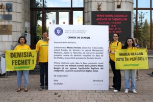 greenpeace protest ministerul mediului