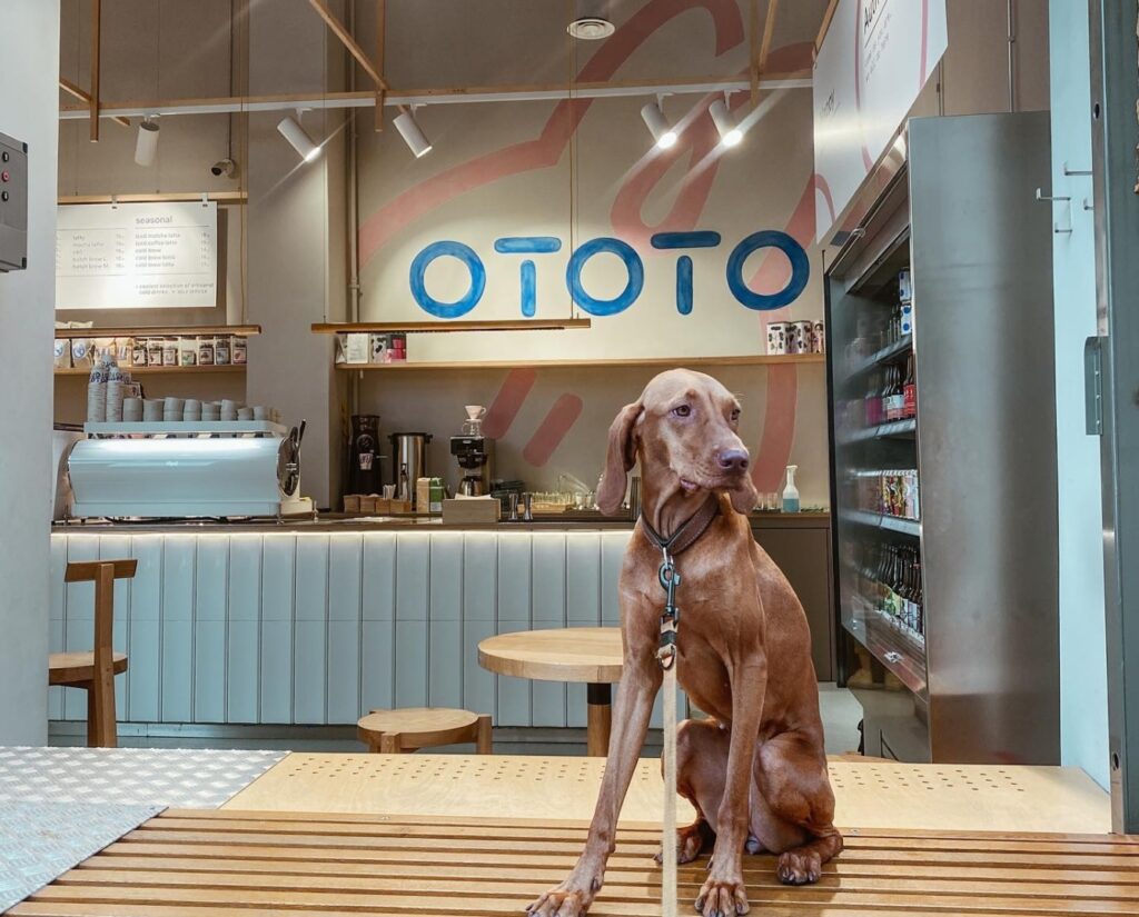Ototo