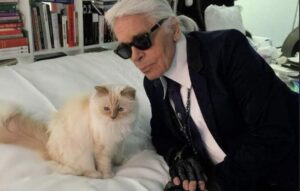 animale de companie, animale mostenitoare, milioane, animale de companie cu milioane, choupette