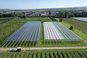 agro fotovoltaice