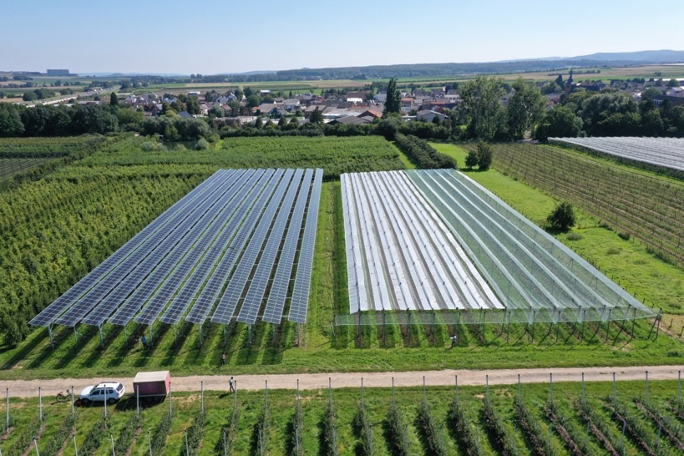 agro fotovoltaice