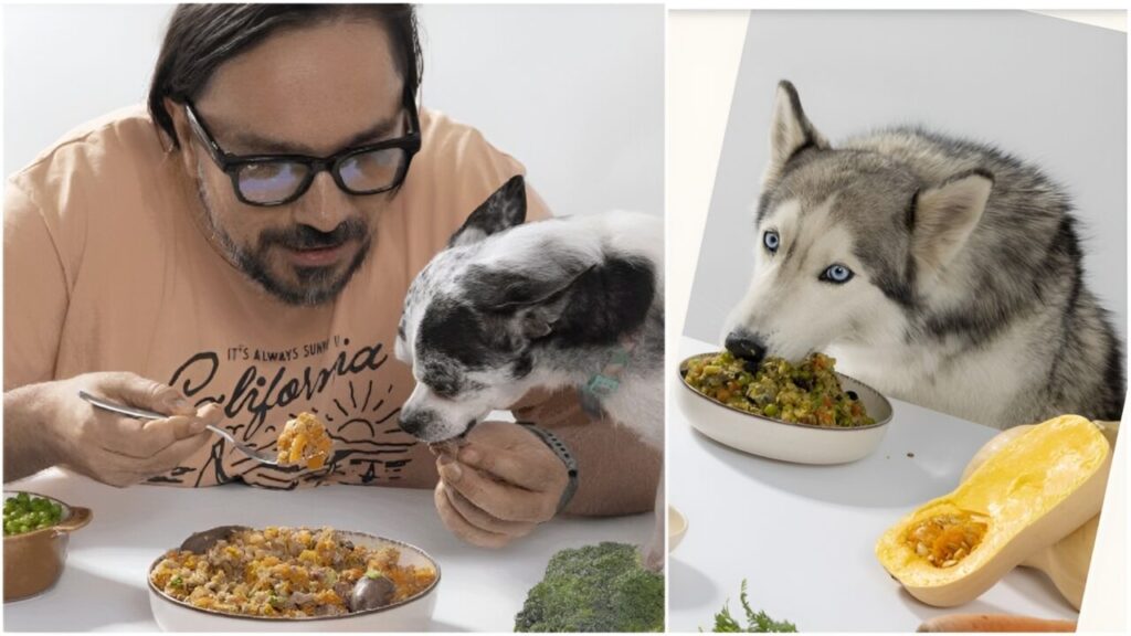 Andrei Cerbu, Drooler, caini, mancare animale, mancare caini