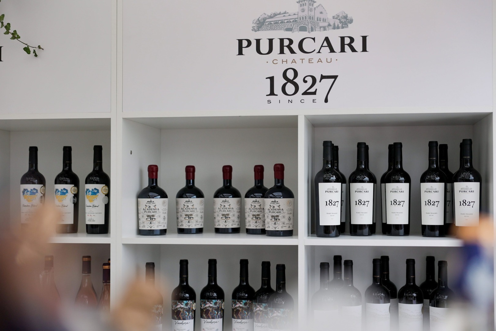 Purcari Wines