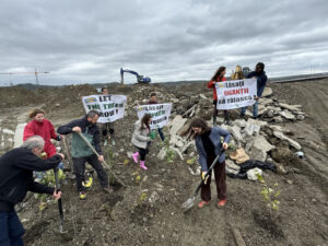 protest ikea iasi