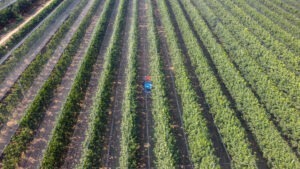 robot culegator, agricultură, SlopeHelper