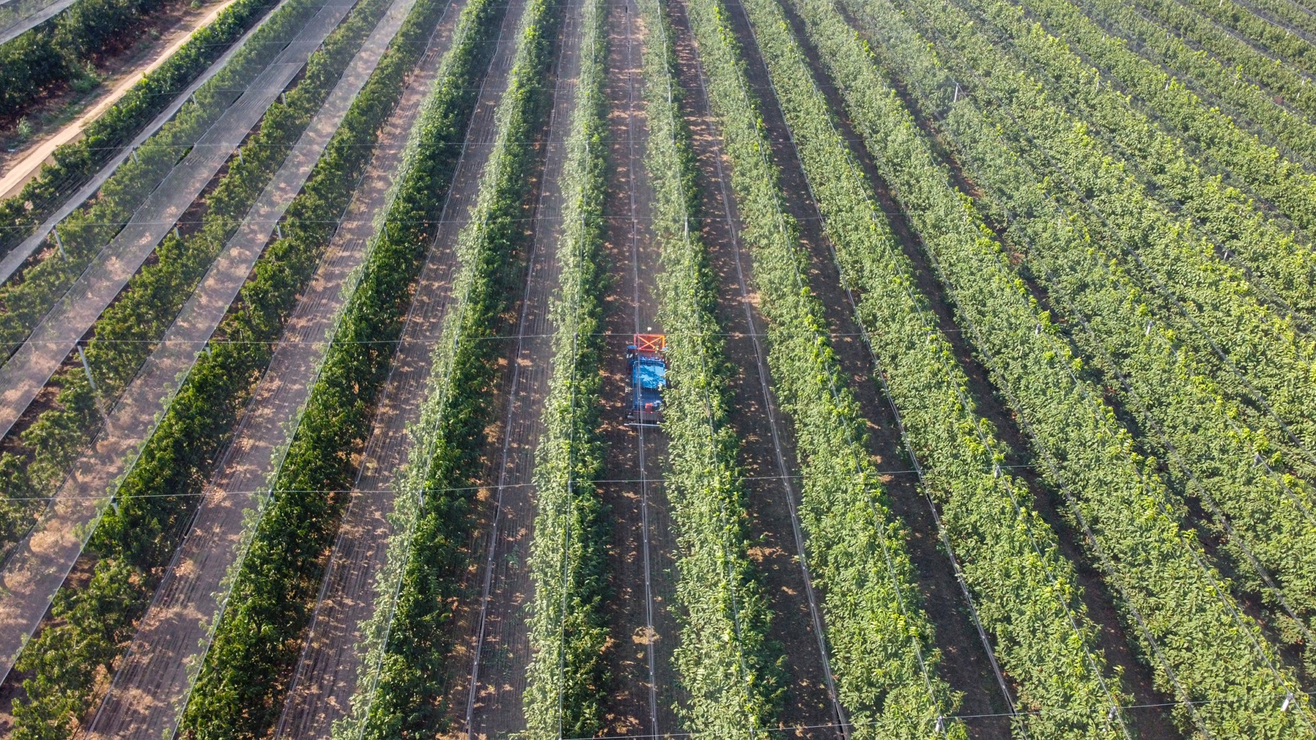 robot culegator, agricultură, SlopeHelper