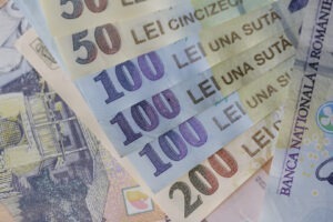 bani, lei, bancnote, cash, numerar Sursa foto Inquam Photos Octav Ganea (3)