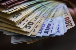 bani, lei, bancnote, cash, numerar