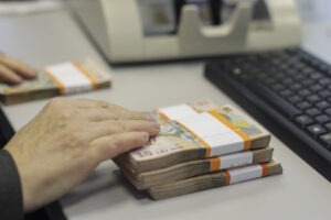 bani, lei, bancnote, cash, numerar